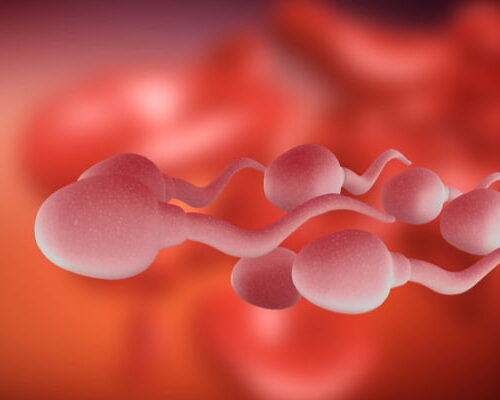 Geç Döllenme Nedir, Kimlerde Olur?