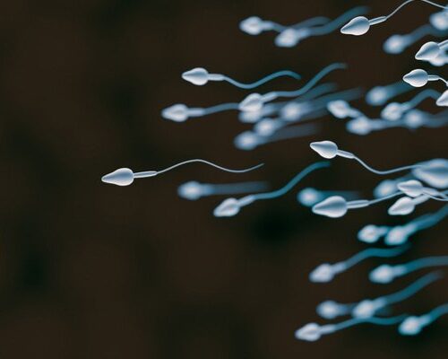 Döllenme Nedir, Nasıl Oluşur?