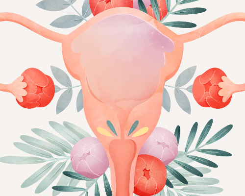 Zayıf Yumurtalık Rezervi Nedir, Kadınlarda Yumurta Rezervi Kaç Olmalı?