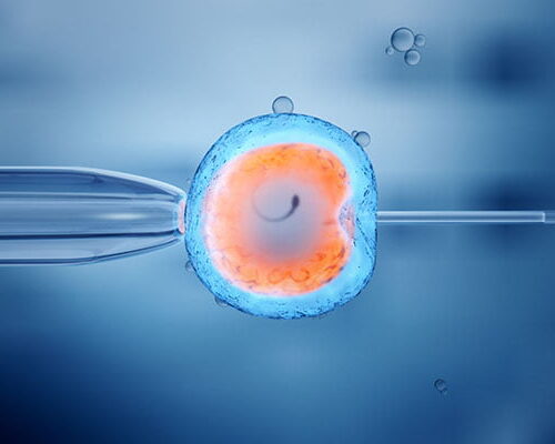 Sperm veya Yumurtaların Karışma Riski Var mı?