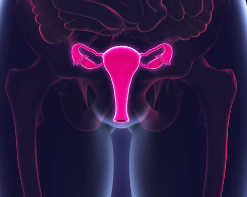 İlk Adetten Sonra İkinci Adet Ne Zaman Olur?