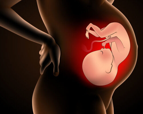 Prezentasyon Ne Demek?