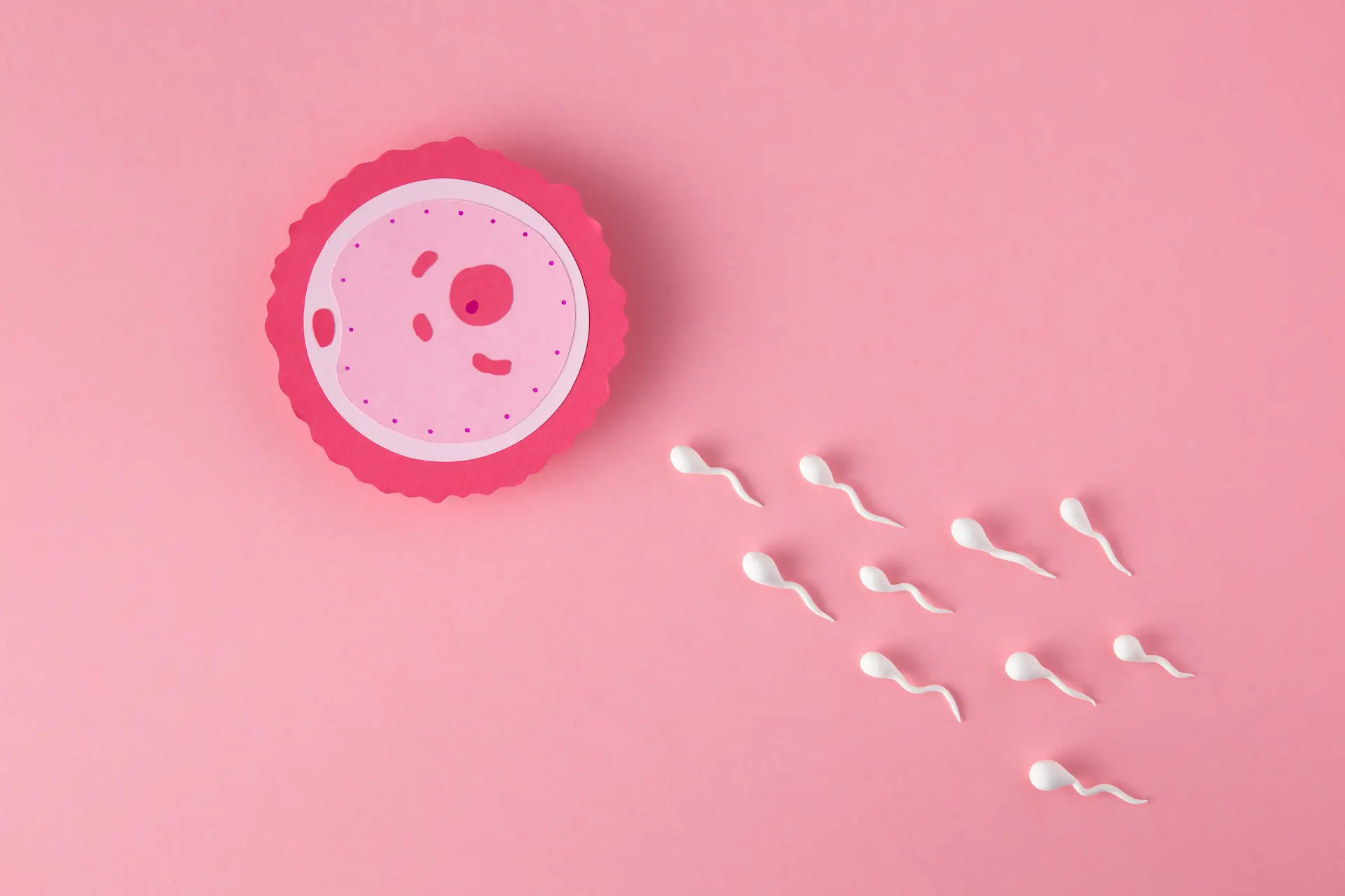 Cinsiyet Seçiminde Sperm Gradyan Yöntemi Nedir?