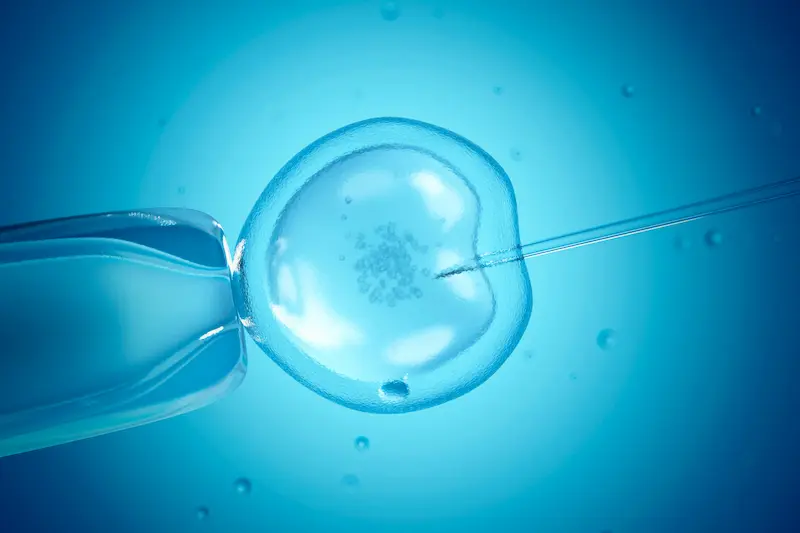 Tüp Bebek (IVF) Nedir