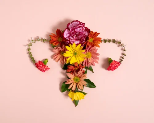 Kızlık Zarı Nedir ve Nerededir?