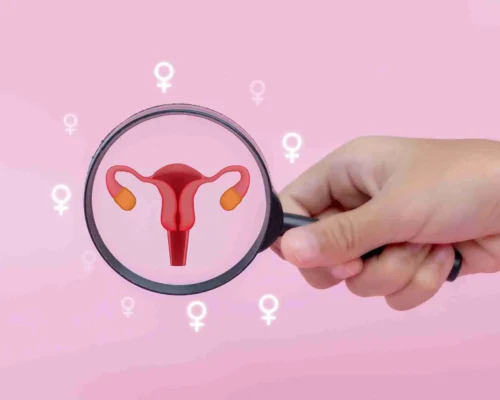 Ovaryan Stimülasyon Nedir?